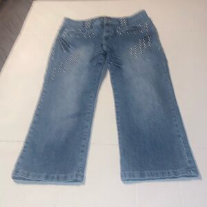 Platinum Plush Capri biker 🏍️ jeans size 11